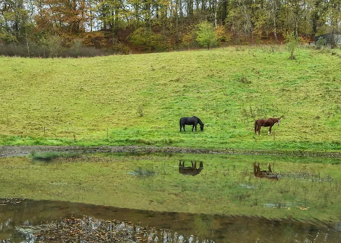 Vakantiehuis Beachside Bliss In Blokhus-by Traum *